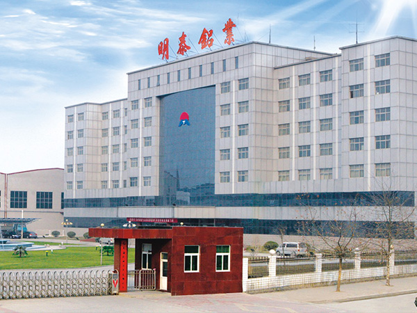 汽车小蝌蚪视频高清在线下载生产厂家